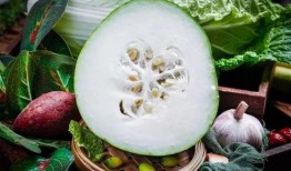 东瓜娱乐中老年吃瓜,中老年群体乐享“吃瓜”时光